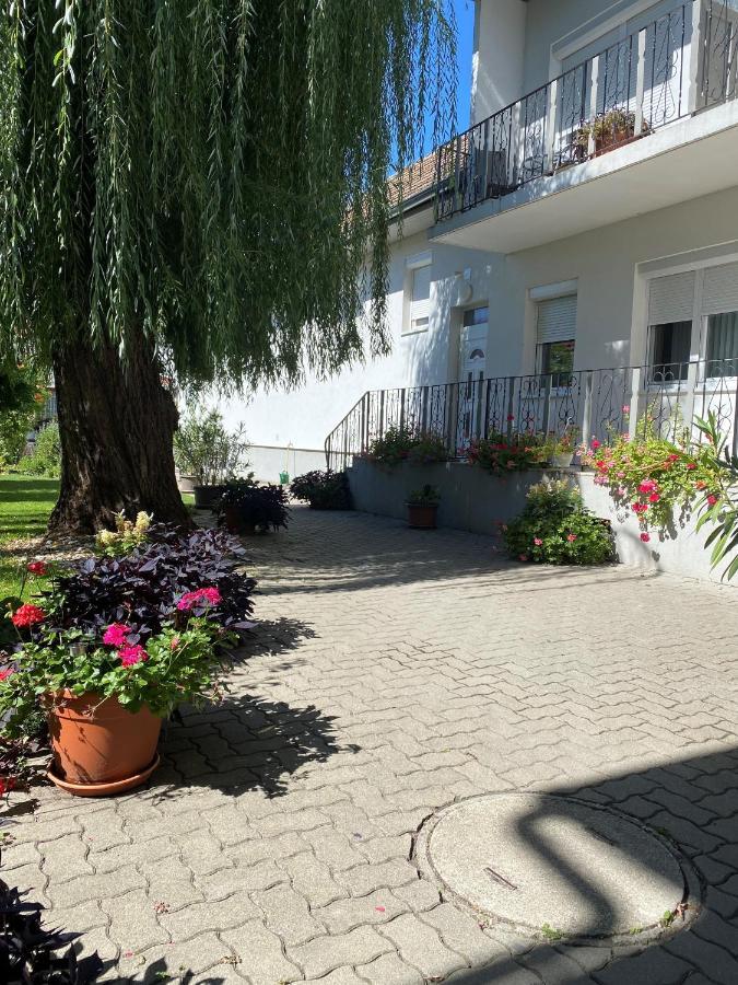 Gaestehaus & Weingut Klein Ильмиц Экстерьер фото